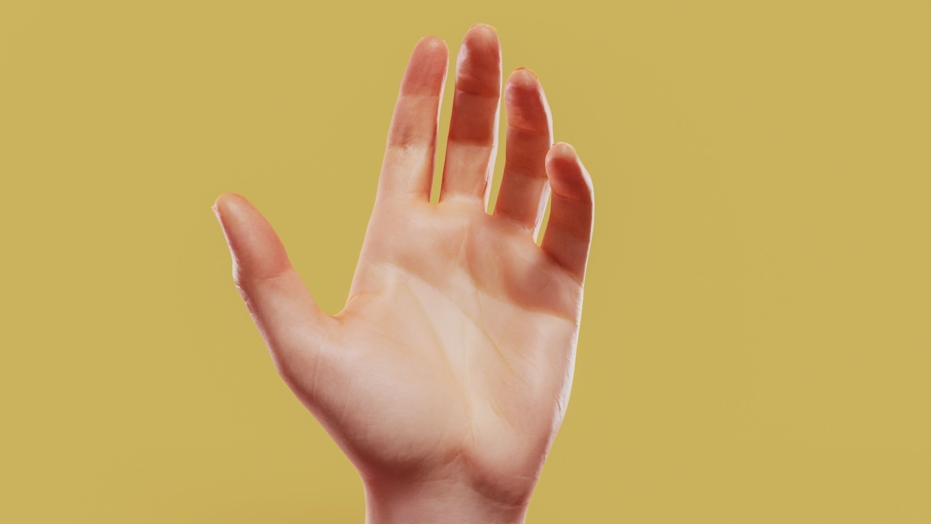 Elegant Male Single Hand 001 Low-poly 3D model_11