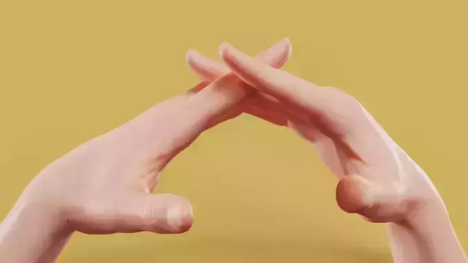 Make a Roof Male Duo Hands 014 Low-poly 3D model