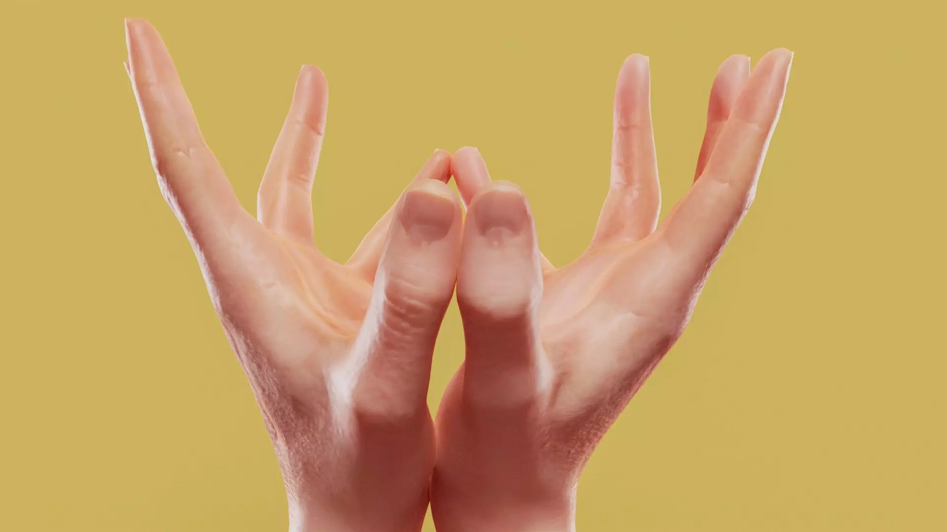 The Vessel Male Duo Hands 012 Low-poly 3D model