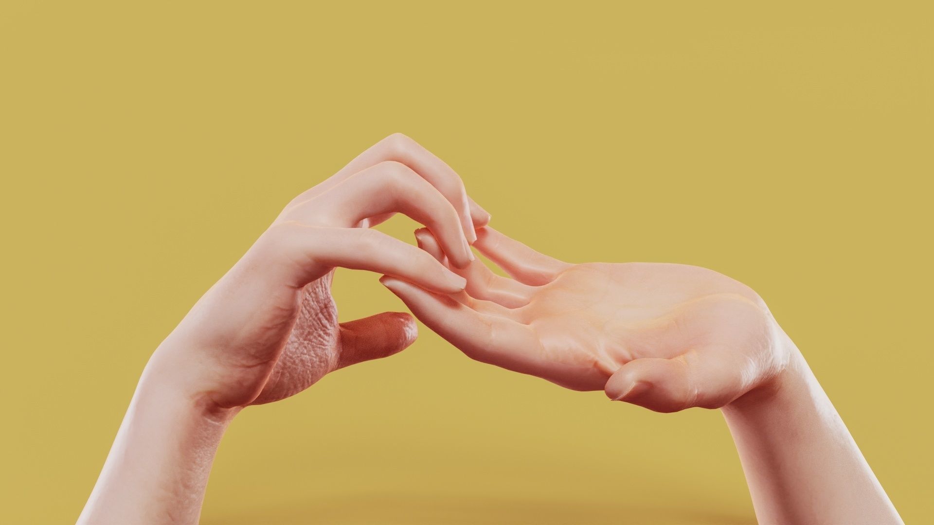 Grab On Male Duo Hands 007 Low-poly 3D model_6