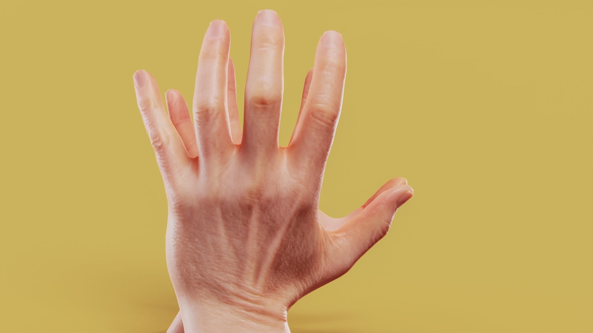 Opposing Force Male Duo Hands 005 Low-poly 3D model_3