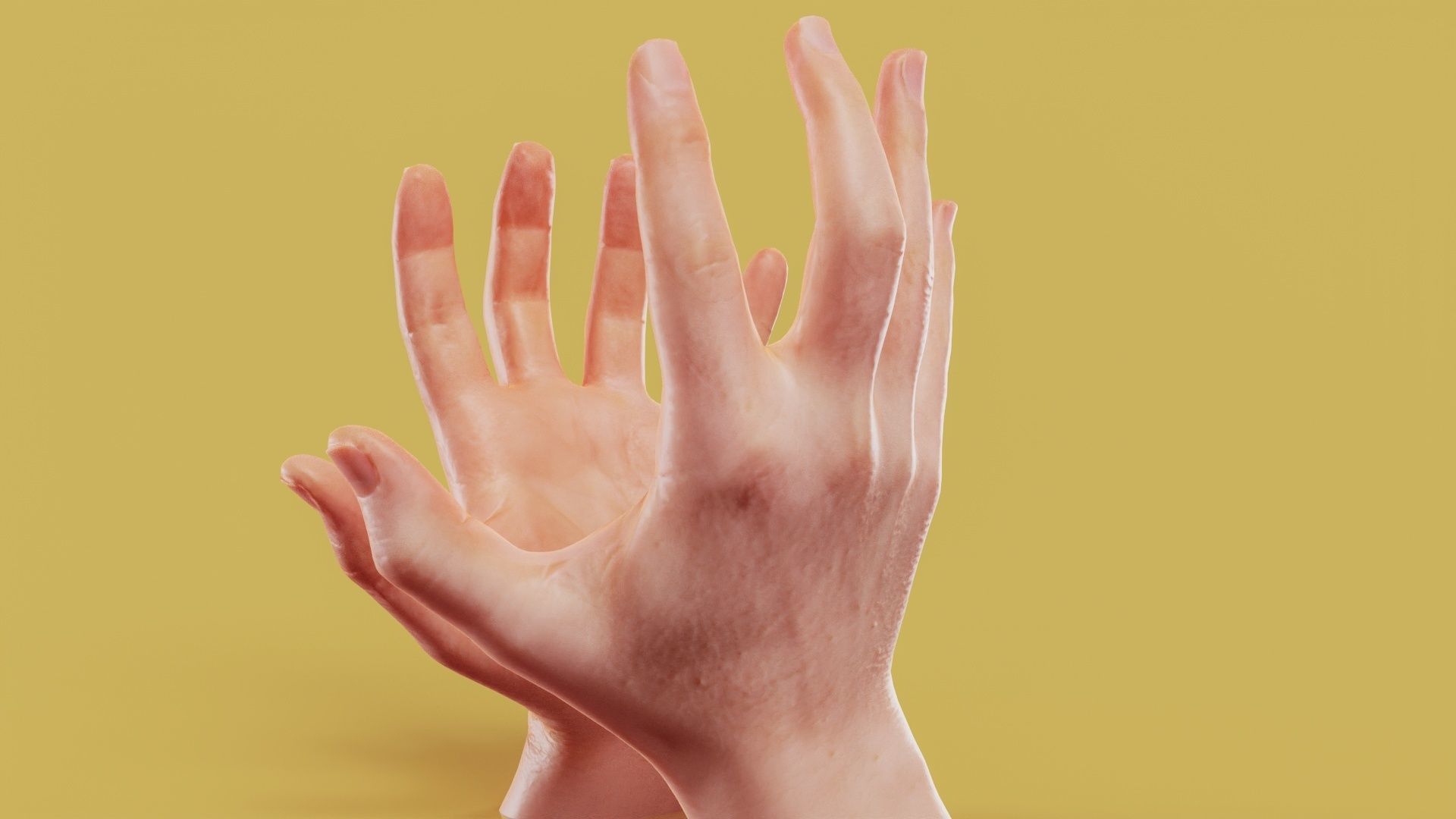 Opposing Force Male Duo Hands 005 Low-poly 3D model_10