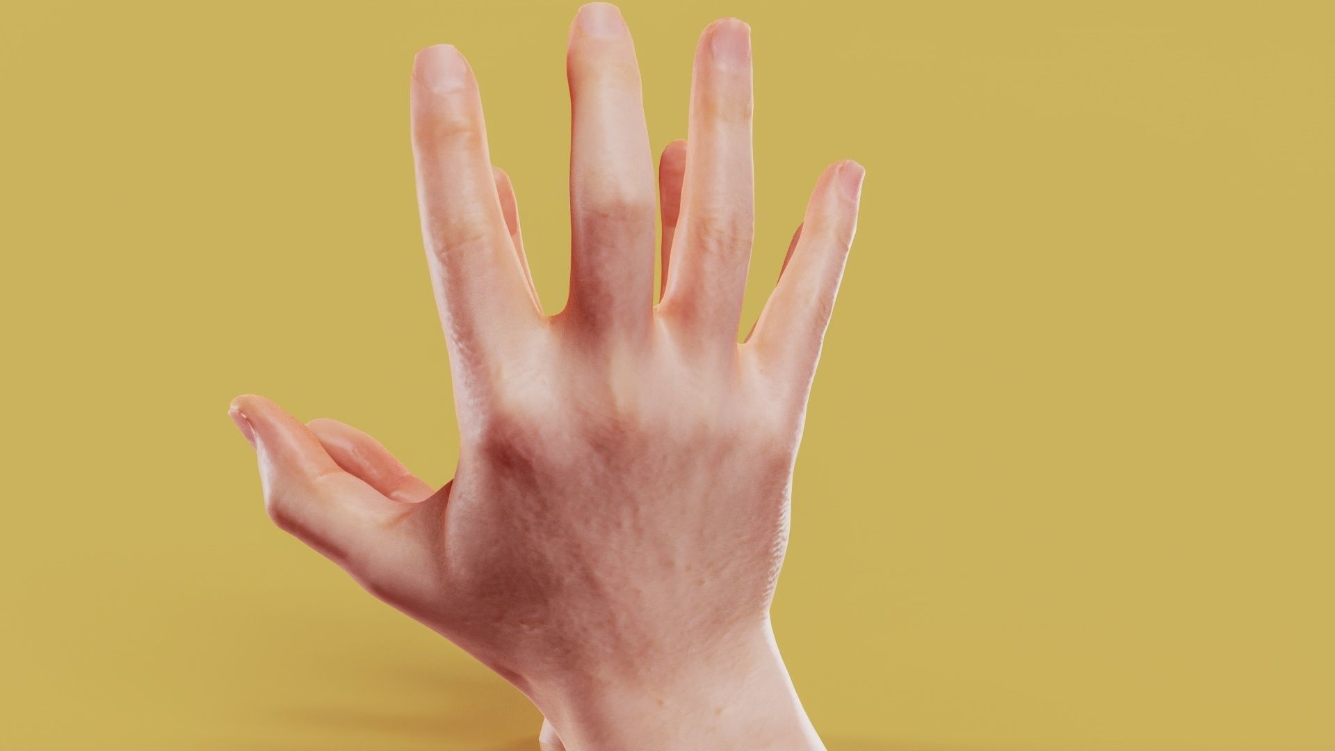 Opposing Force Male Duo Hands 005 Low-poly 3D model_9