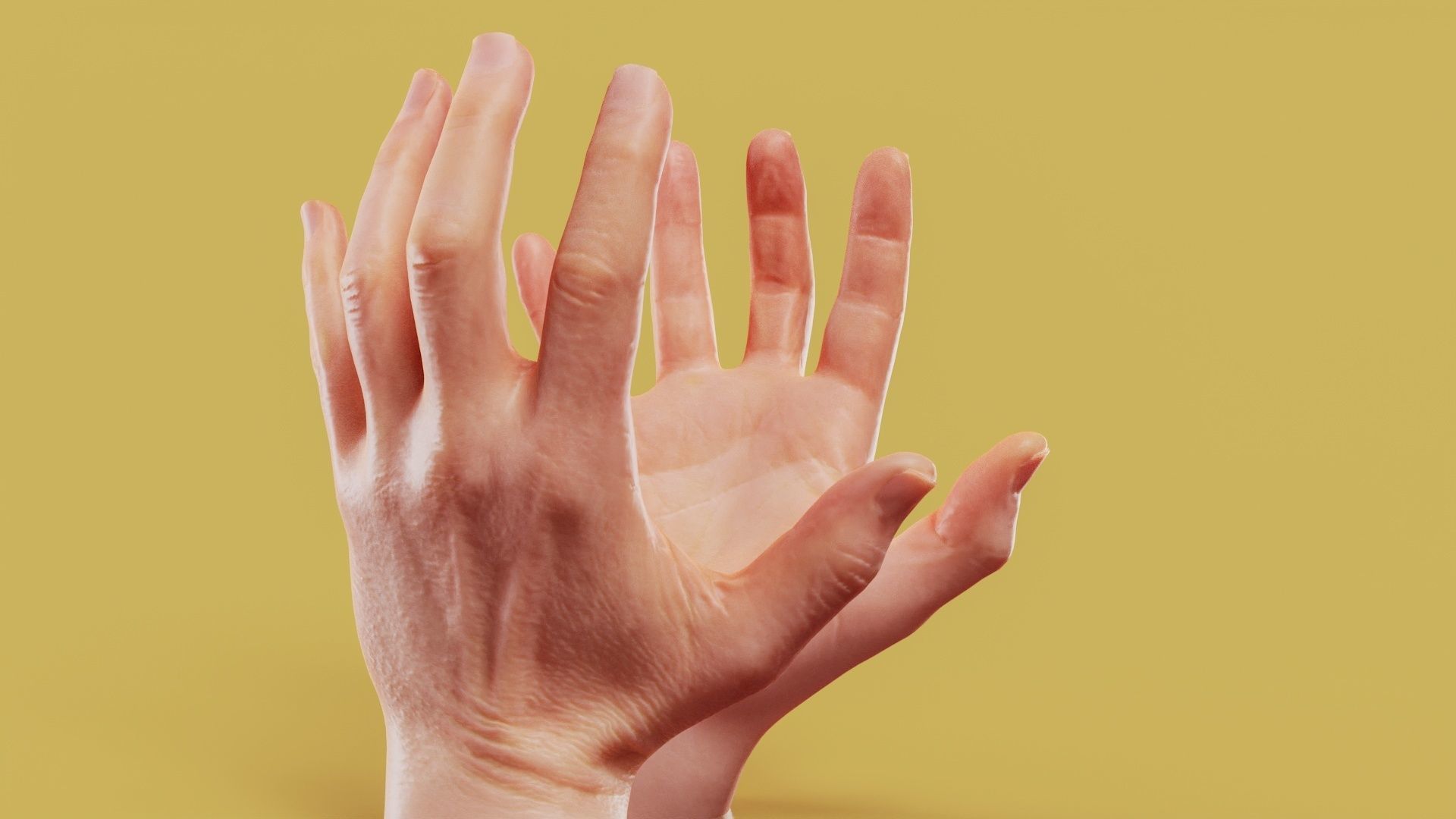 Opposing Force Male Duo Hands 005 Low-poly 3D model_2