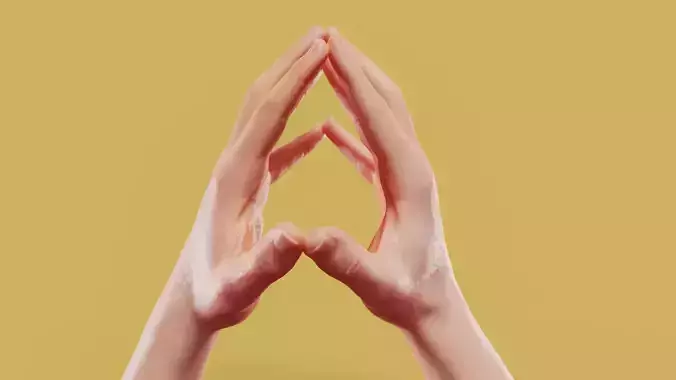 Clicking Male Duo Hands 003 Low-poly 3D model