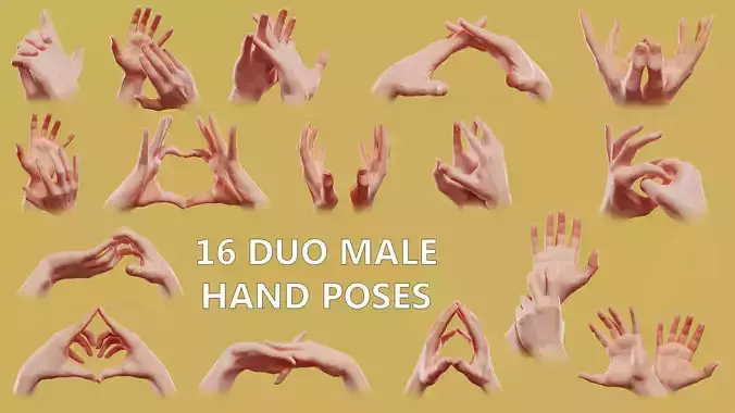 16 Duo Male Posed Hands 3D Model Collection