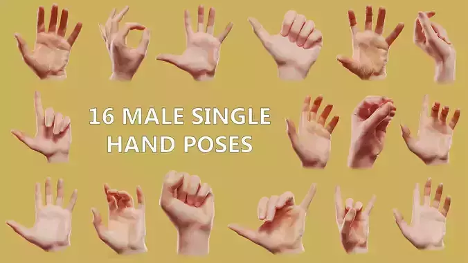 16 Single Male Posed Hands 3D Model Collection