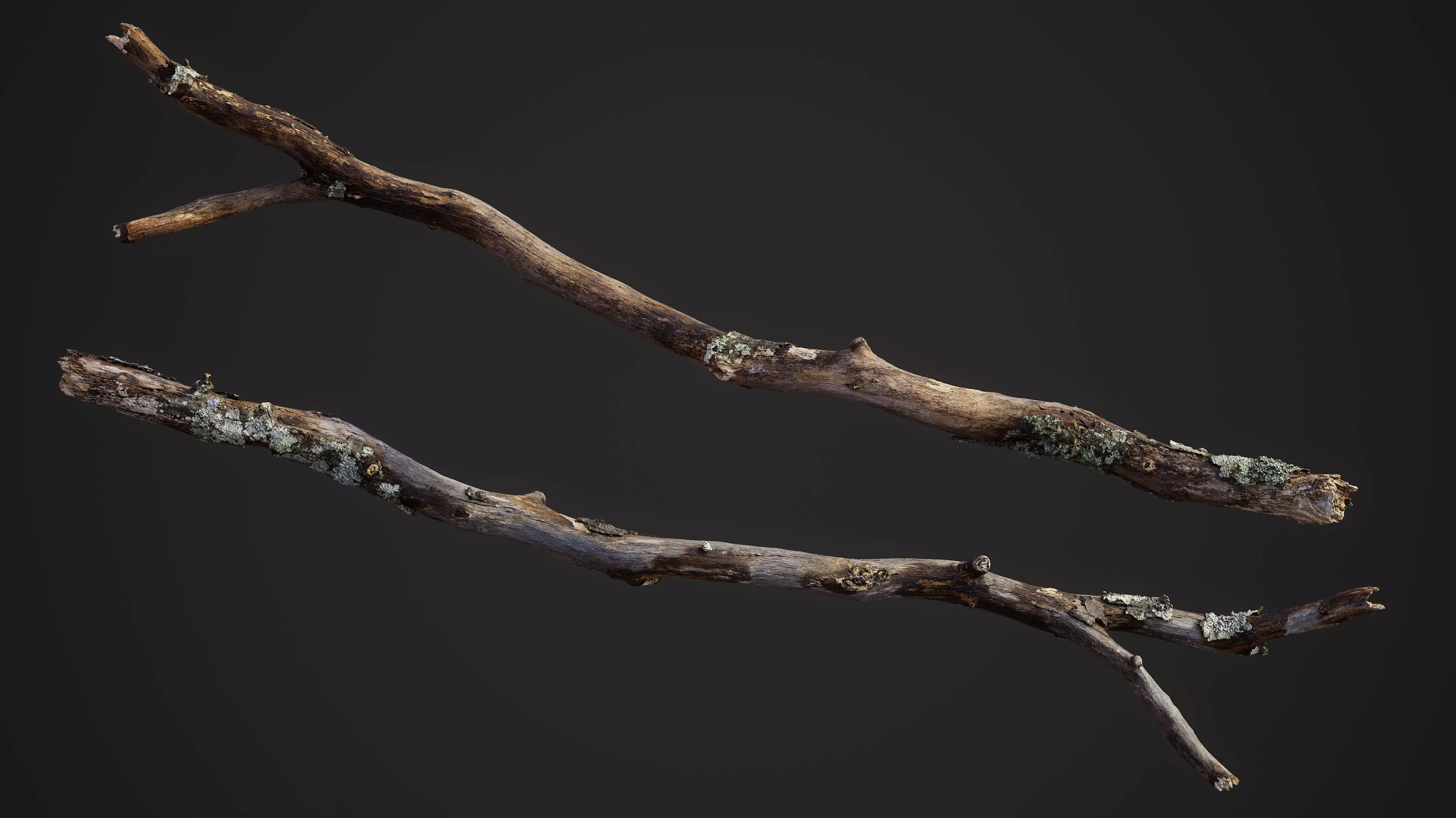 Large Broken Branch 03 Low-poly 3D model_0