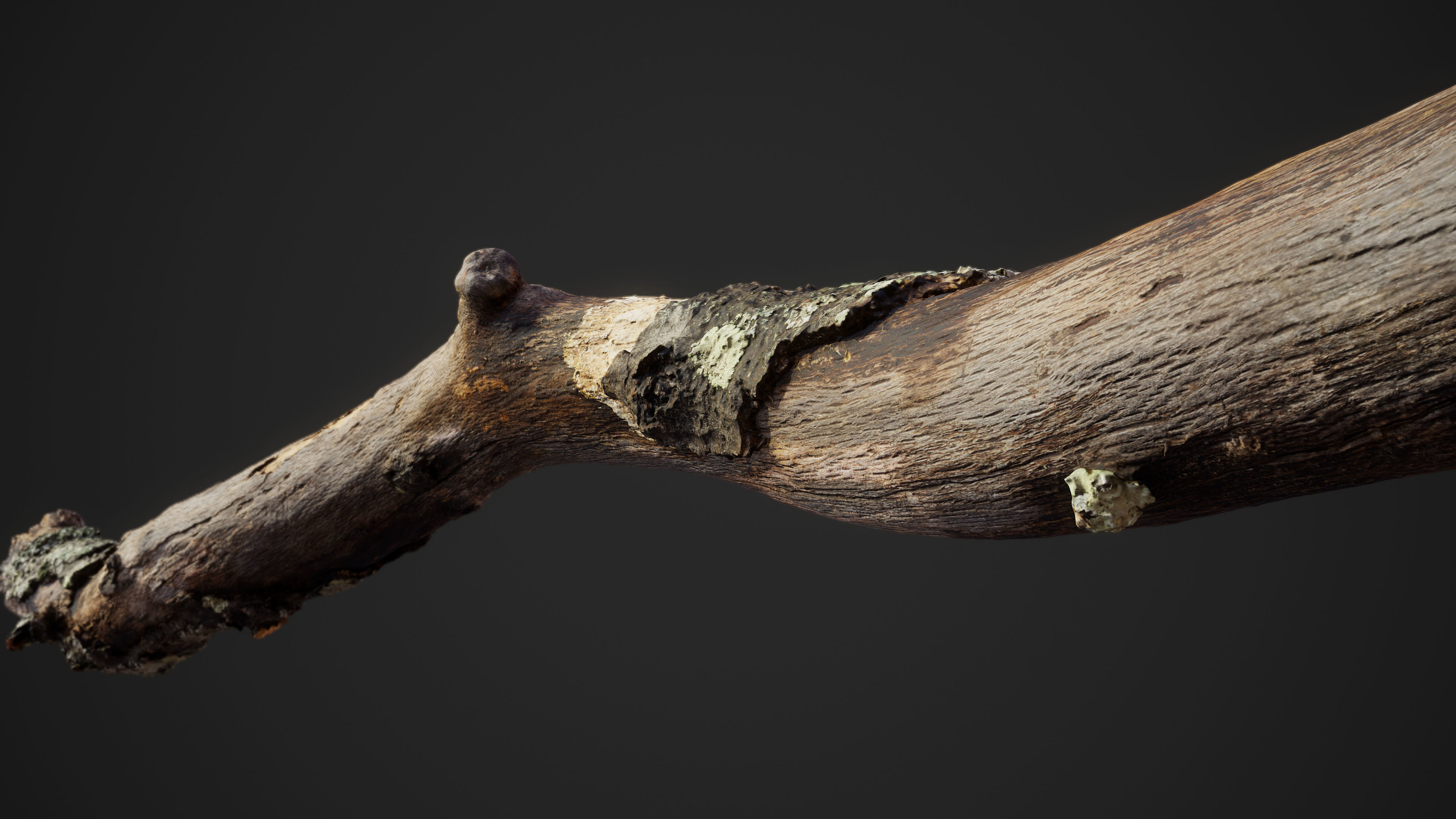 Large Broken Branch 03 Low-poly 3D model_8