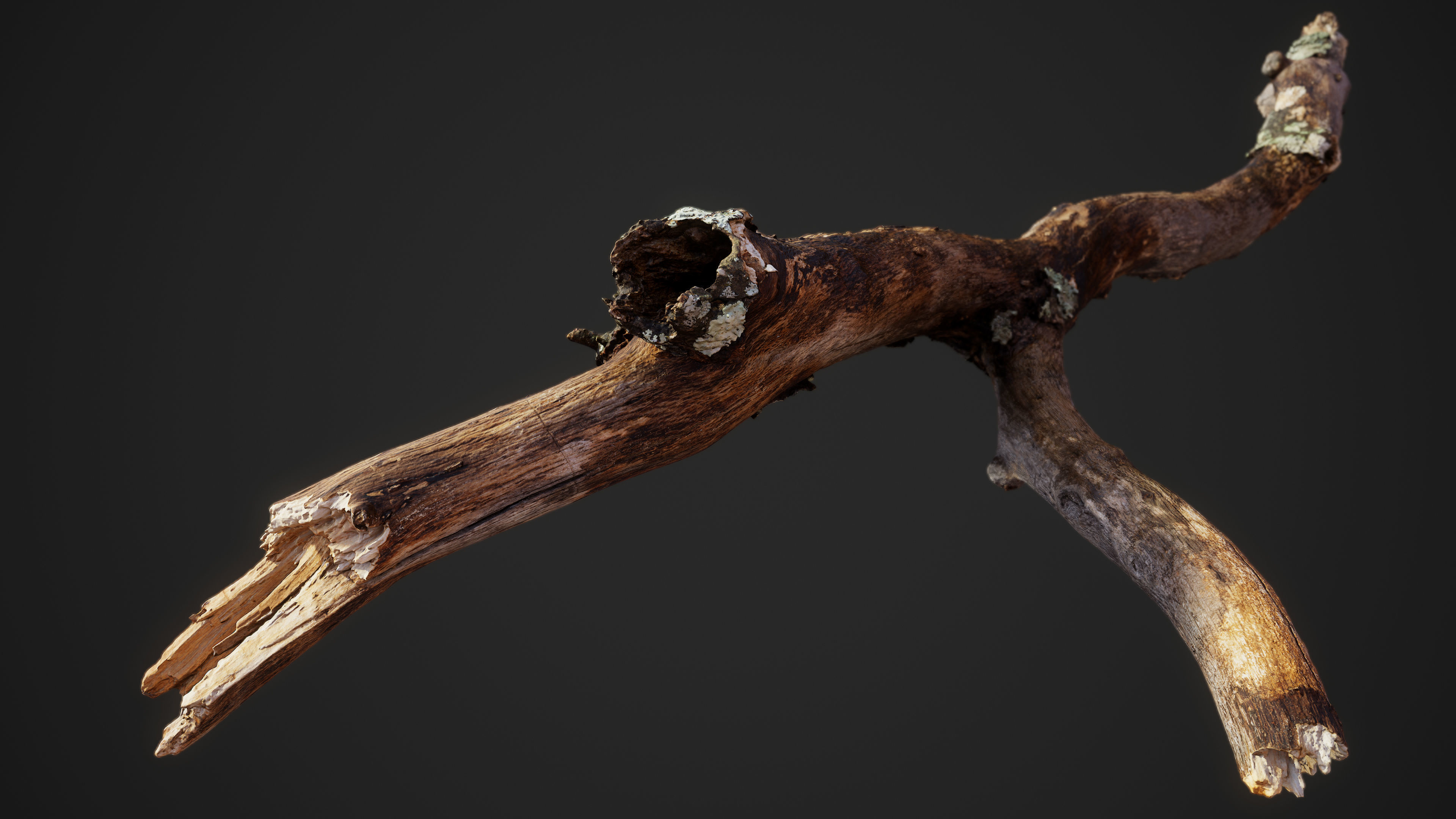 Large Broken Branch 03 Low-poly 3D model_2