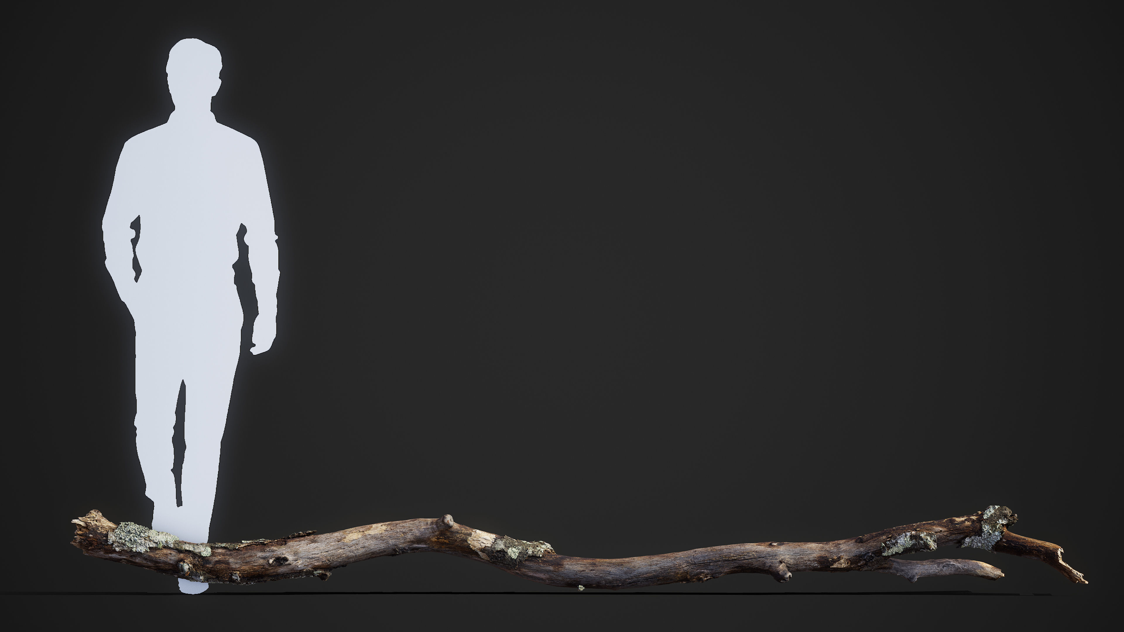 Large Broken Branch 03 Low-poly 3D model_1