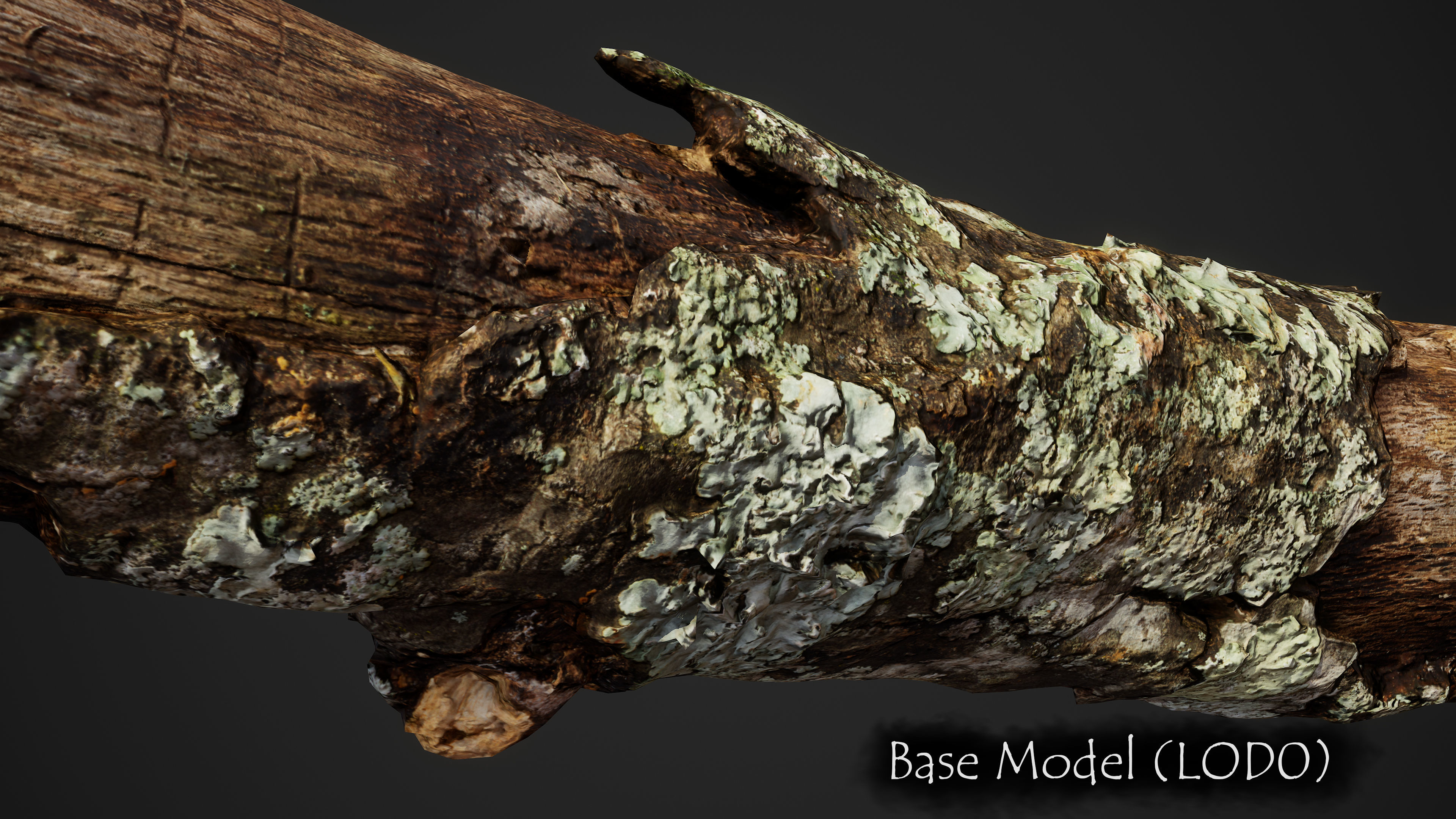 Large Broken Branch 03 Low-poly 3D model_6