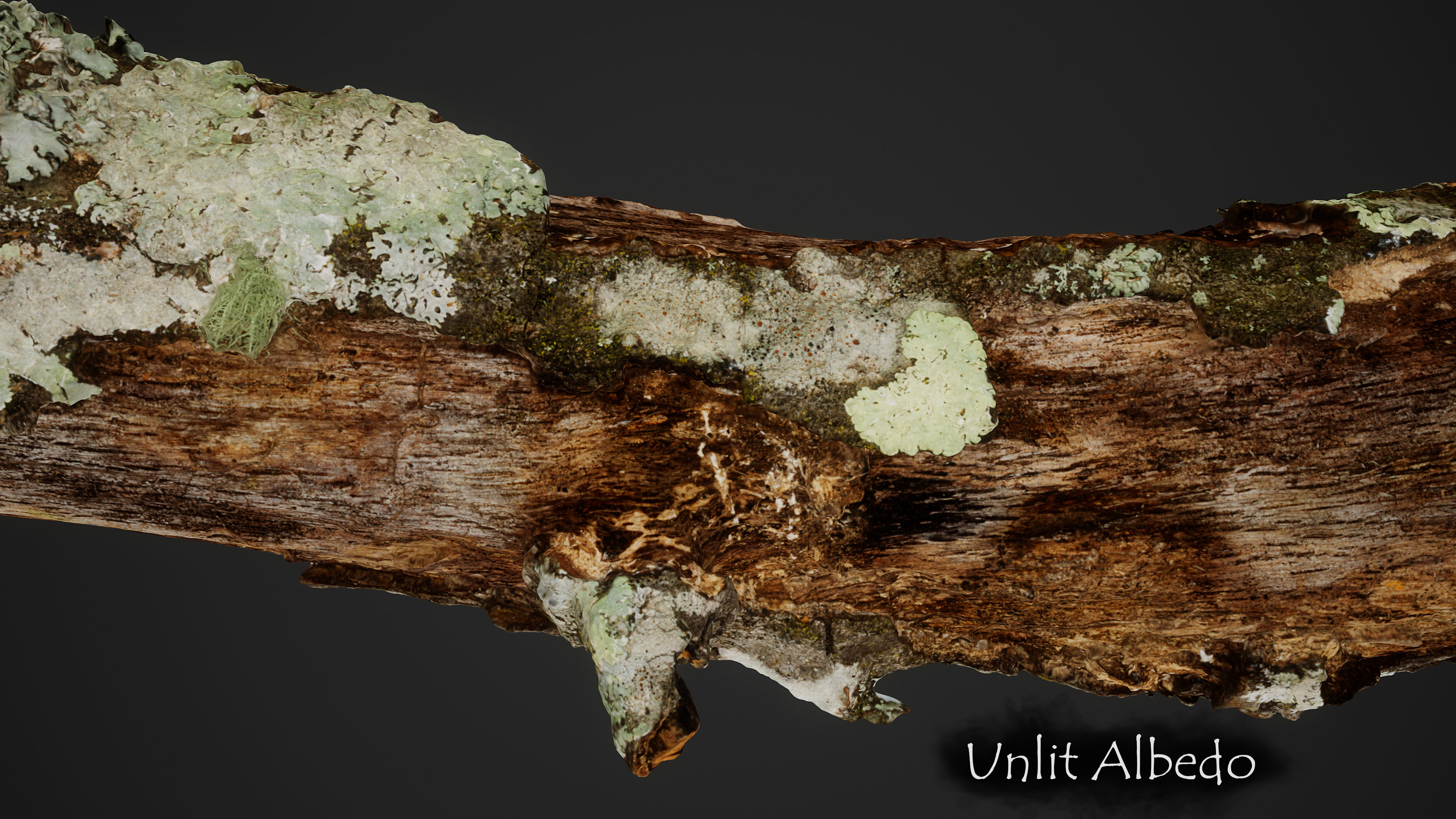 Large Broken Branch 03 Low-poly 3D model_4