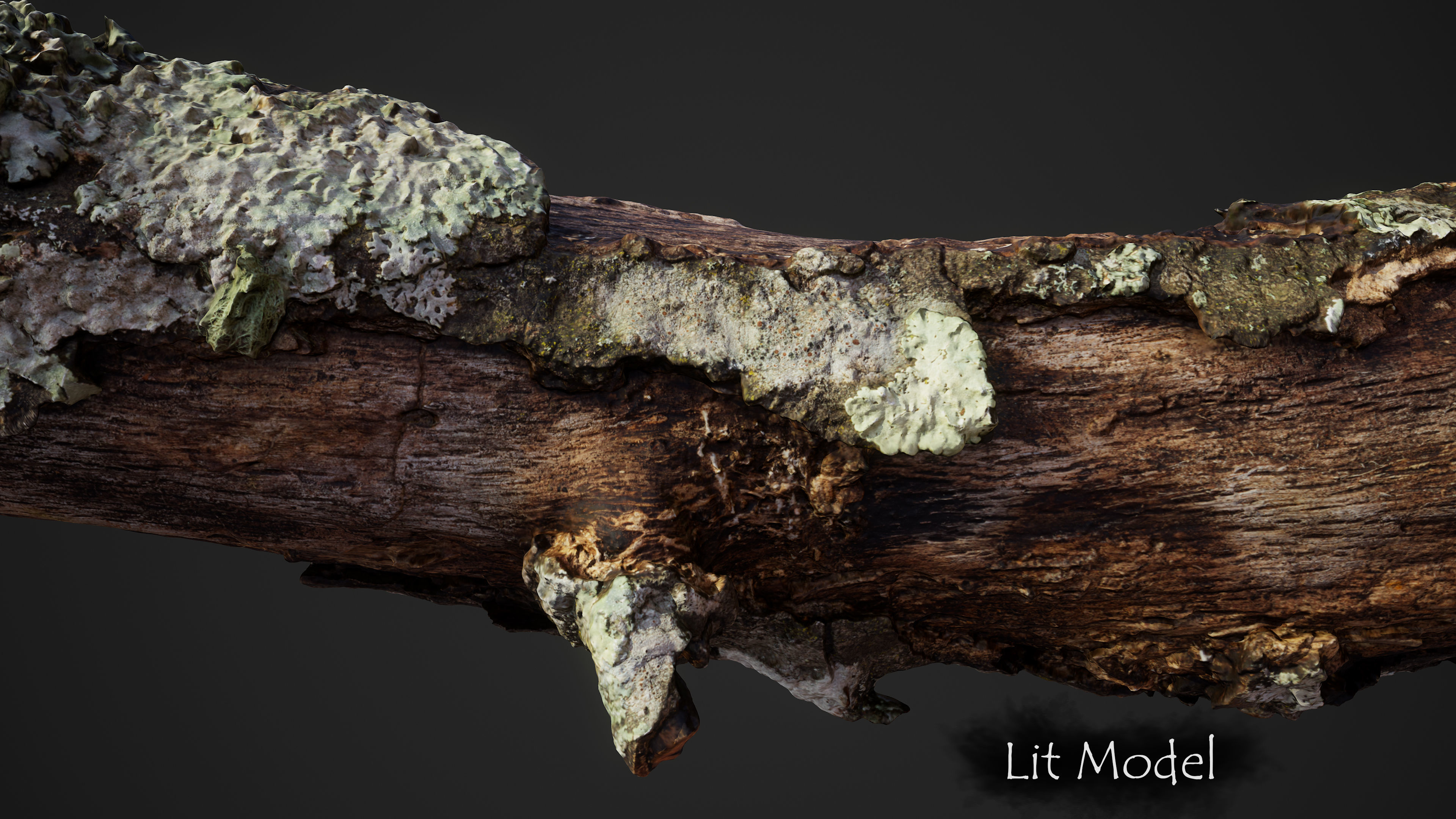 Large Broken Branch 03 Low-poly 3D model_3