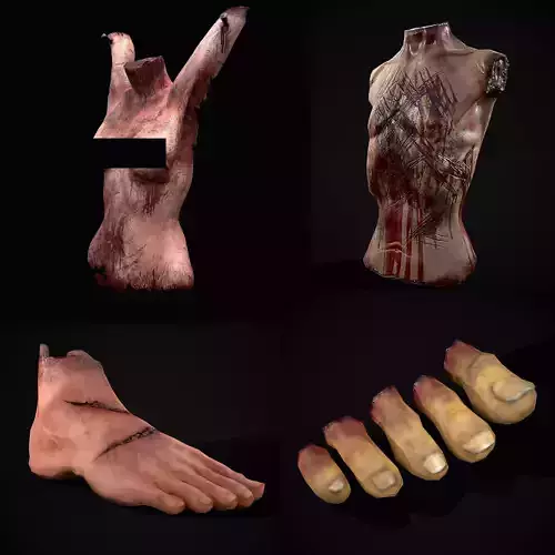 Torsos and Feet  3D Model Collection