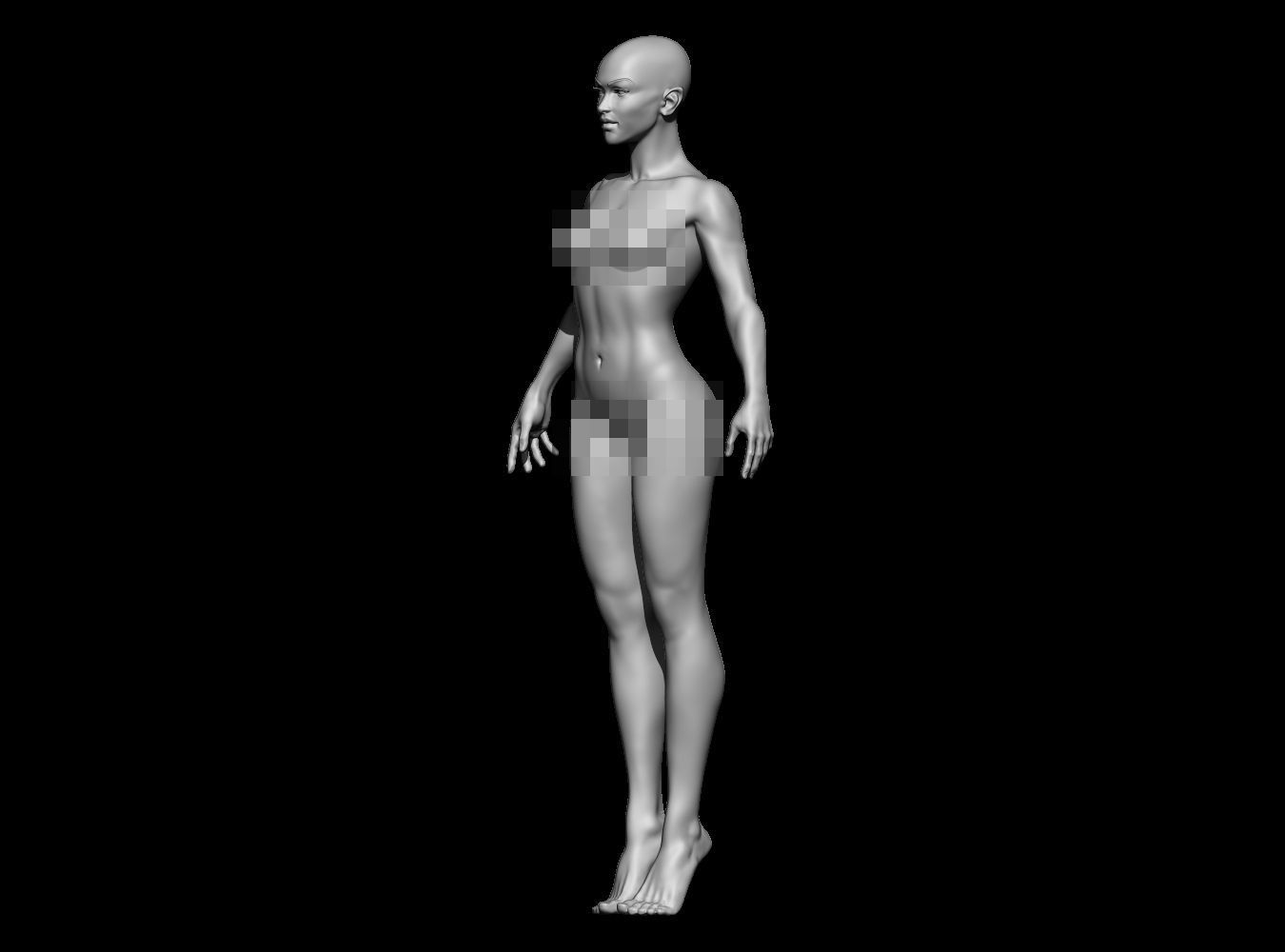Female Anatomy Base Mesh Semi Stylized 3D print model_1