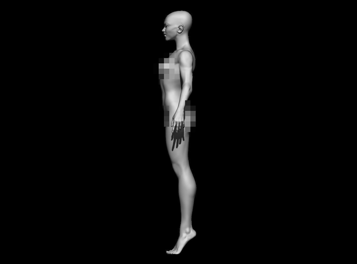Female Anatomy Base Mesh Semi Stylized 3D print model_4