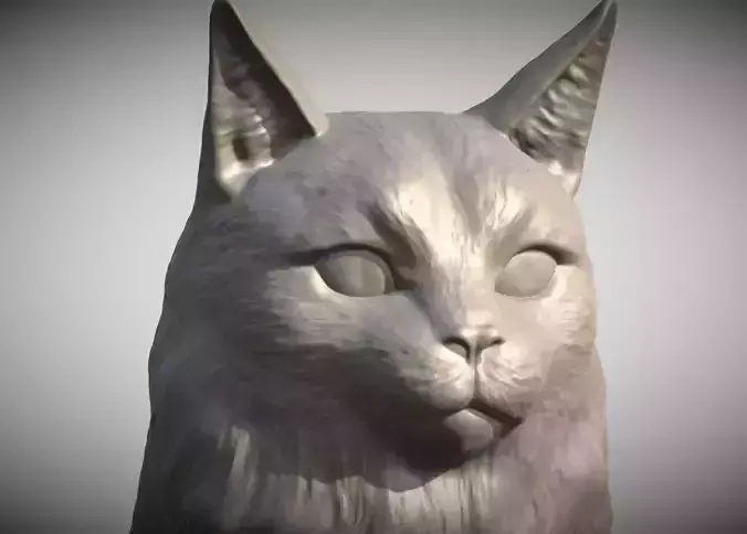 Maine Coon head for 3D printing