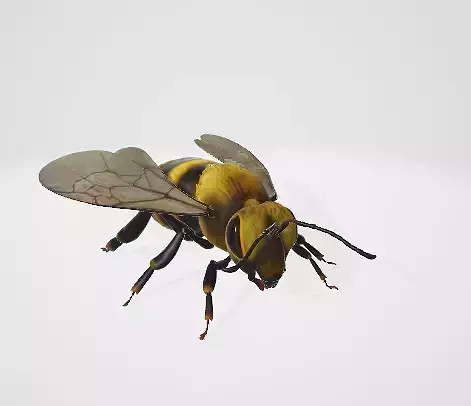 Buzzing with Texture Enhancing Your 3D Models Depth and Detail