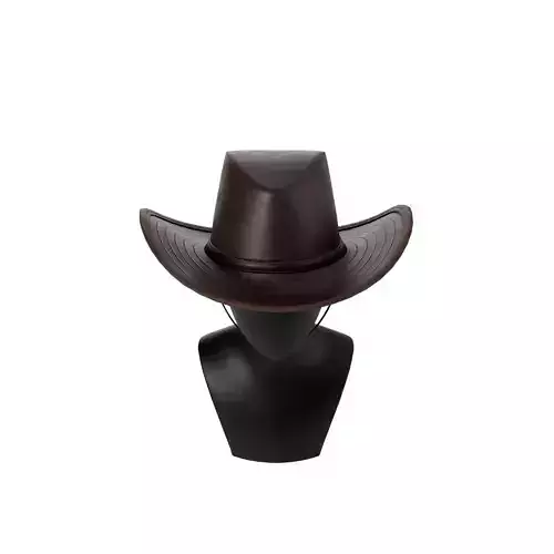 Western Hat