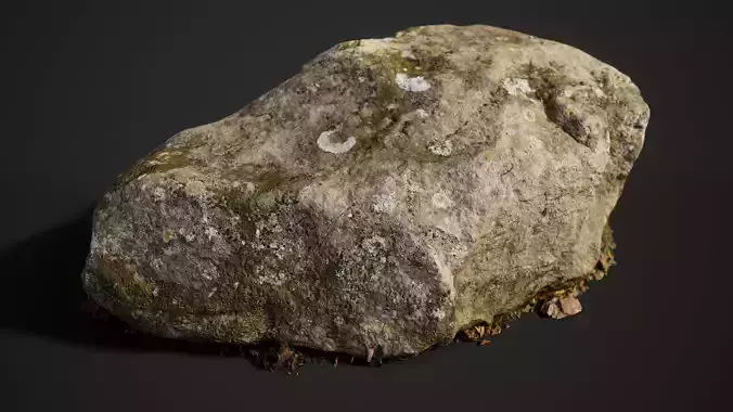 Medium Forest Boulder 02