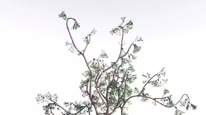 EVERYPlant Baiera 2 --14 Models-- 3D model