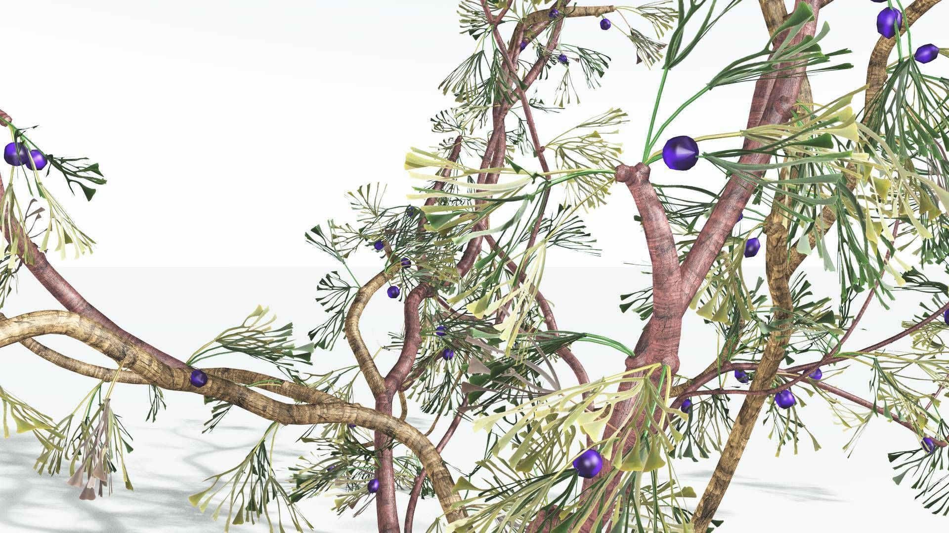 EVERYPlant Baiera 3 --14 Models-- 3D model_8