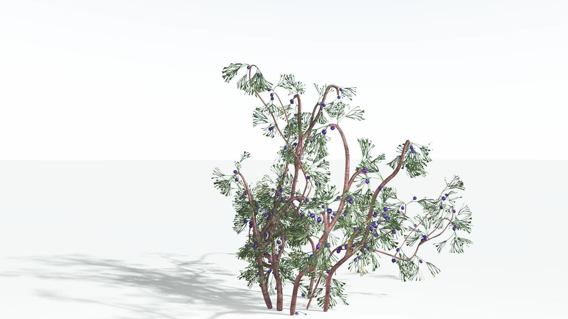 EVERYPlant Baiera 3 --14 Models-- 3D model_3