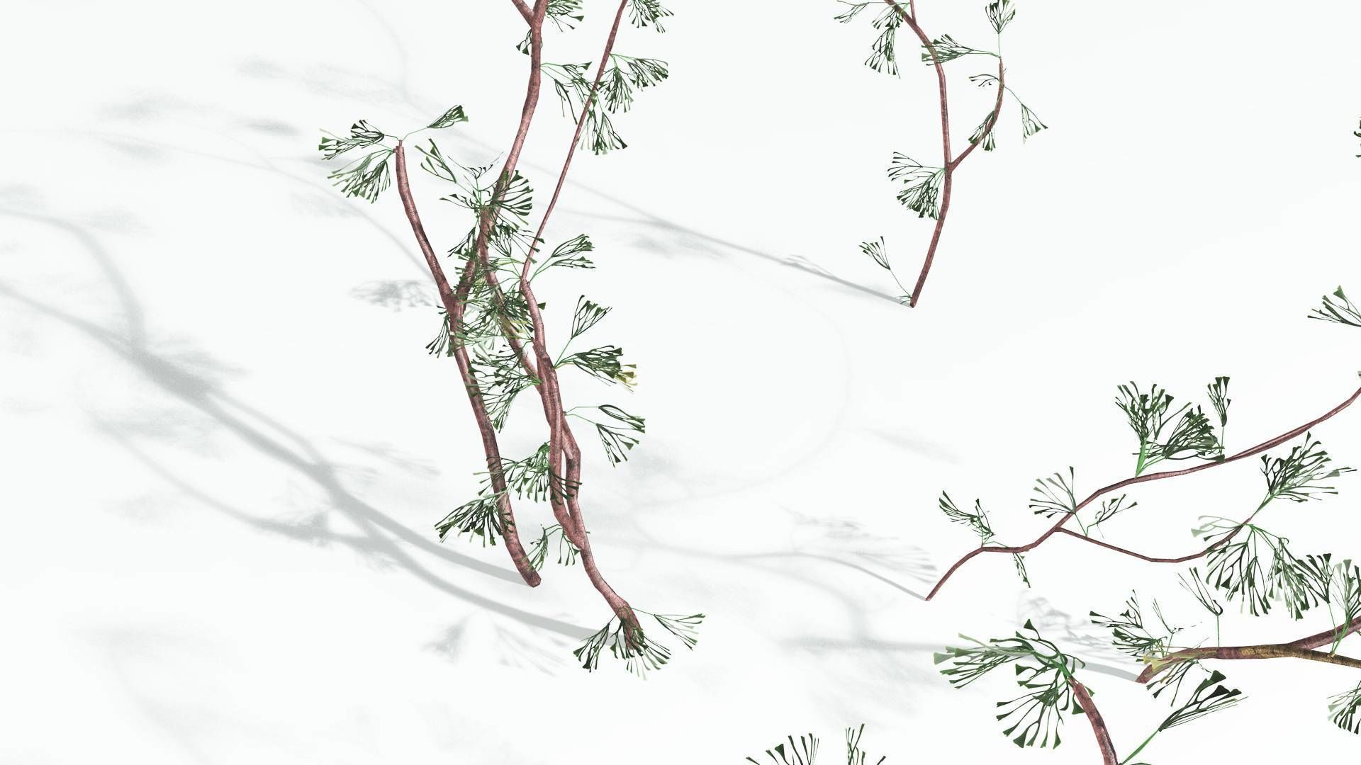 EVERYPlant Baiera 3 --14 Models-- 3D model_18