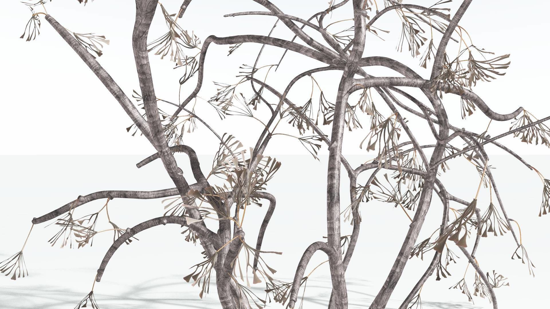 EVERYPlant Baiera 3 --14 Models-- 3D model_12