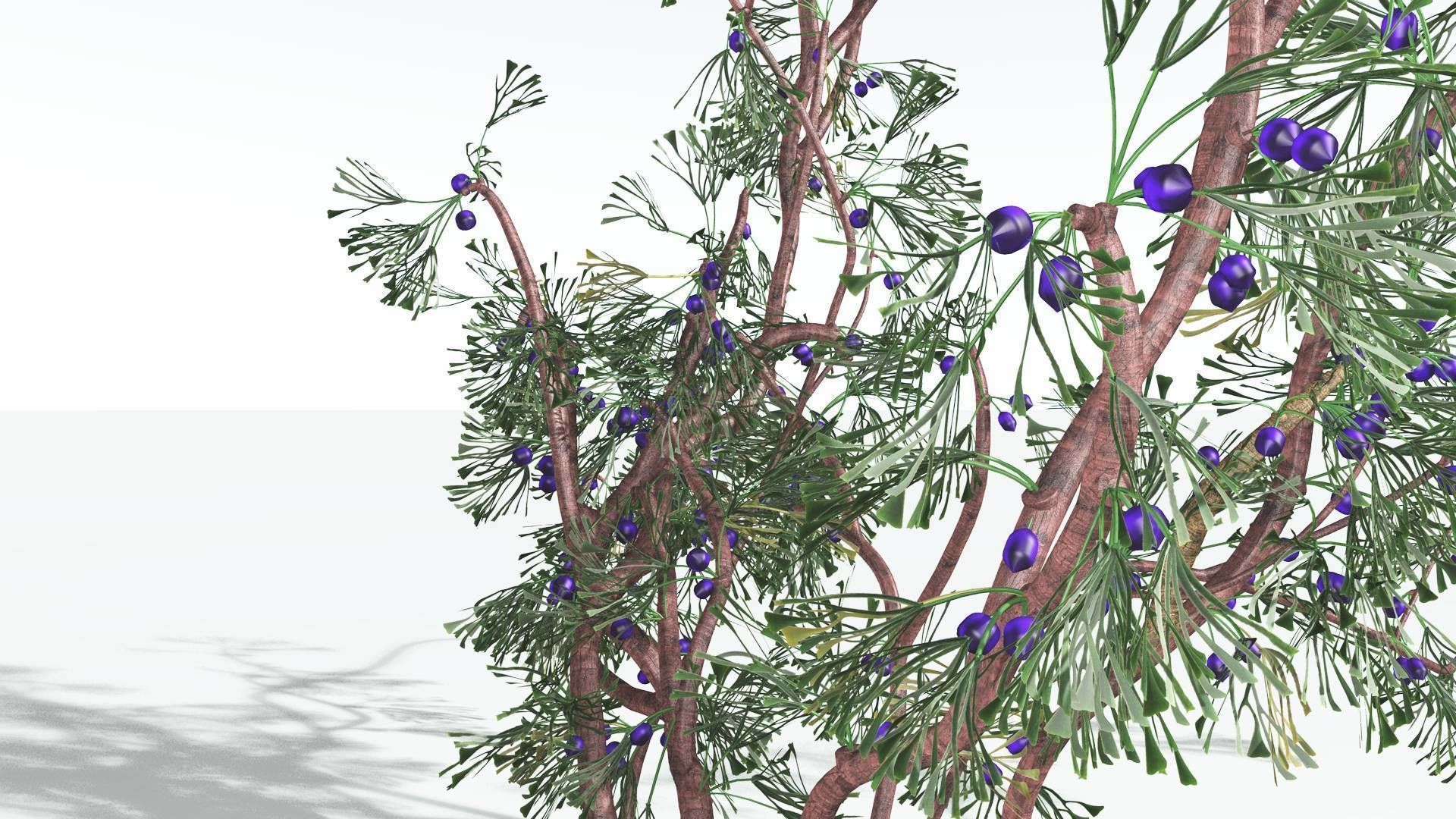 EVERYPlant Baiera 3 --14 Models-- 3D model_30