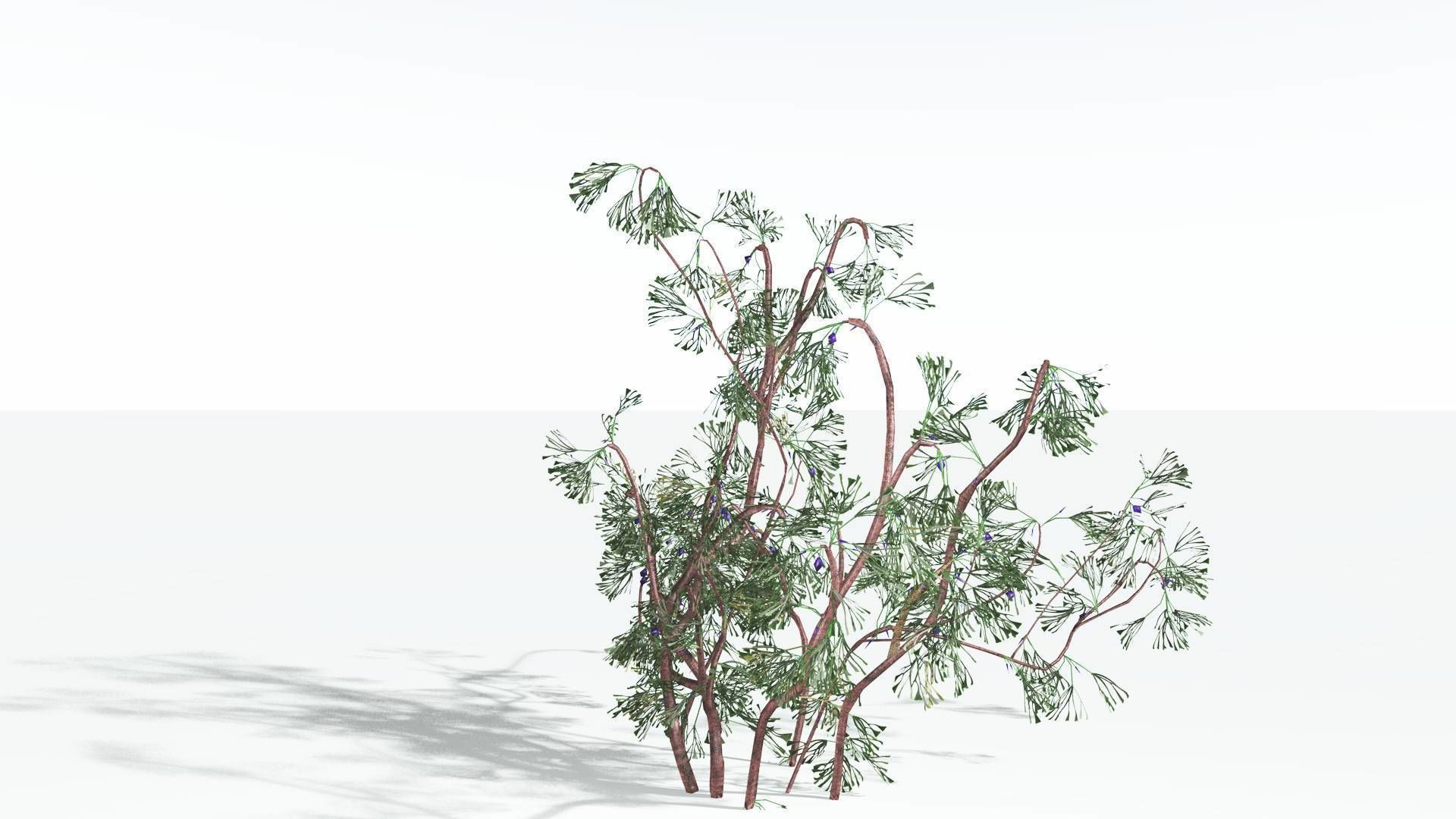 EVERYPlant Baiera 3 --14 Models-- 3D model_27