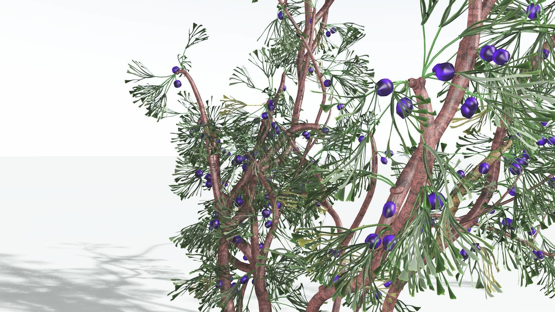 EVERYPlant Baiera 3 --14 Models-- 3D model_4