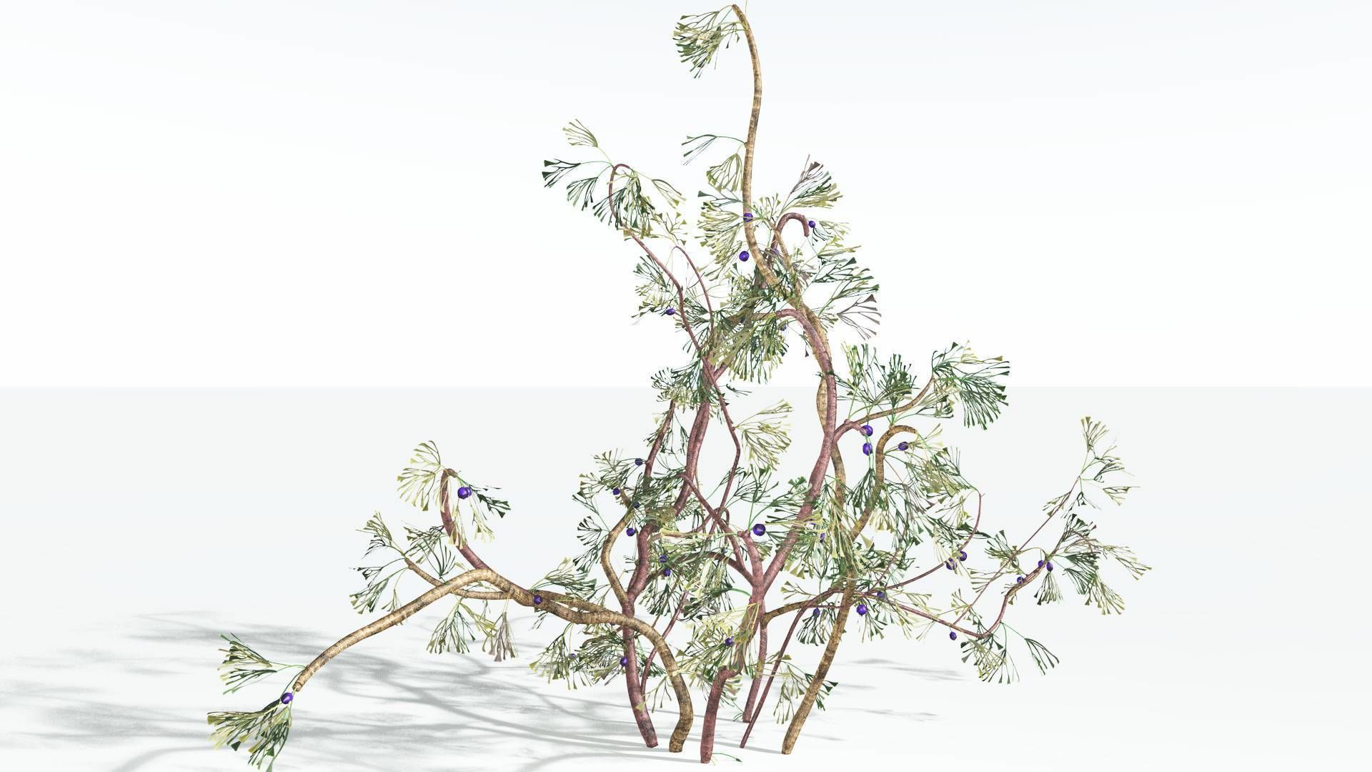 EVERYPlant Baiera 3 --14 Models-- 3D model_7