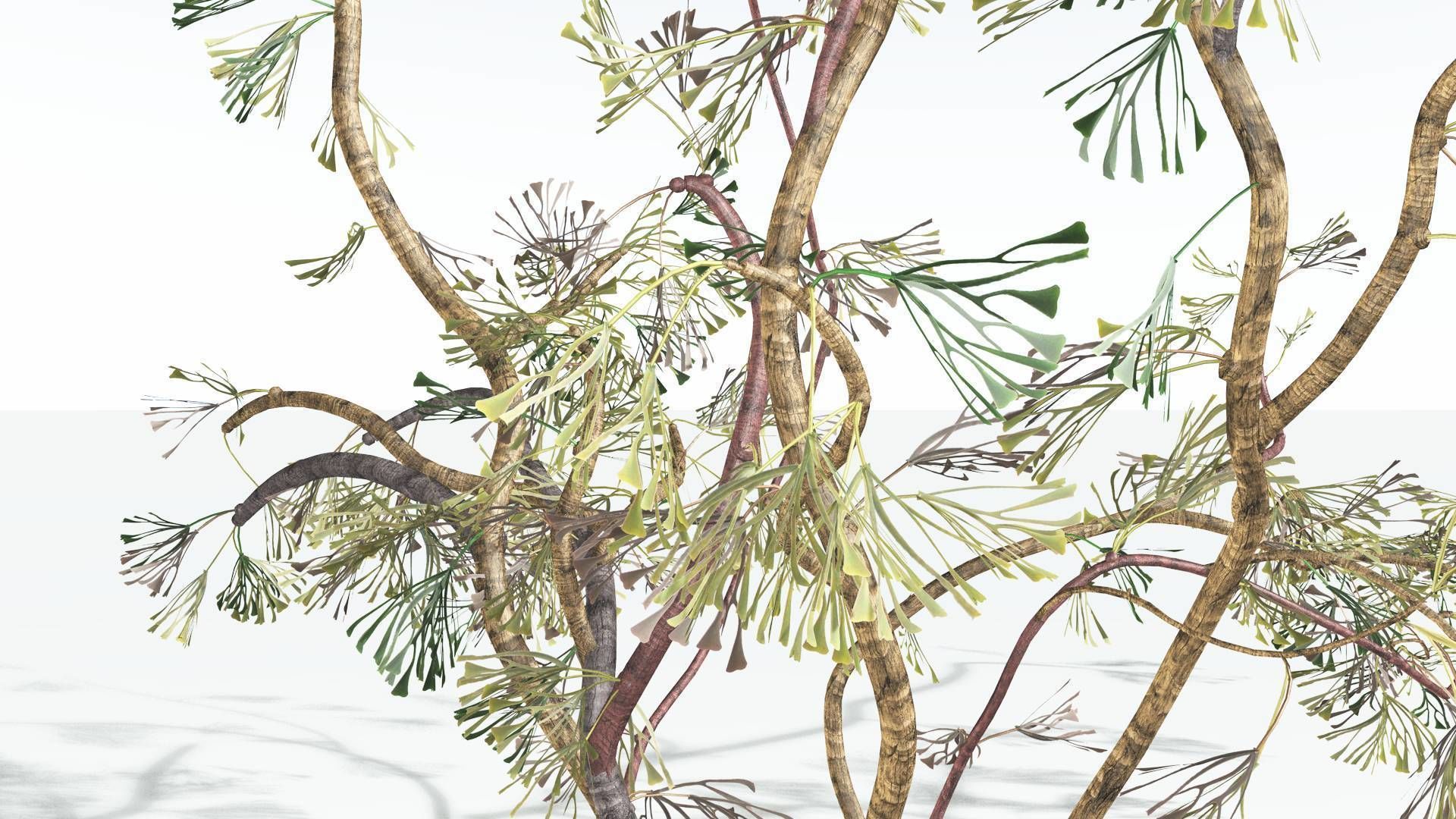 EVERYPlant Baiera 3 --14 Models-- 3D model_10