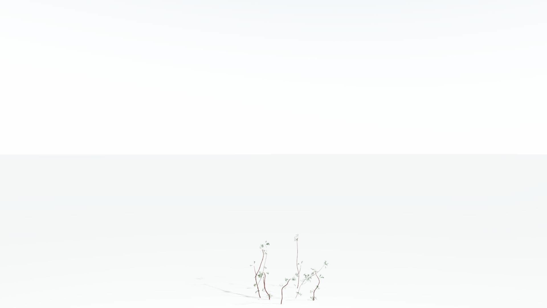 EVERYPlant Baiera 3 --14 Models-- 3D model_19