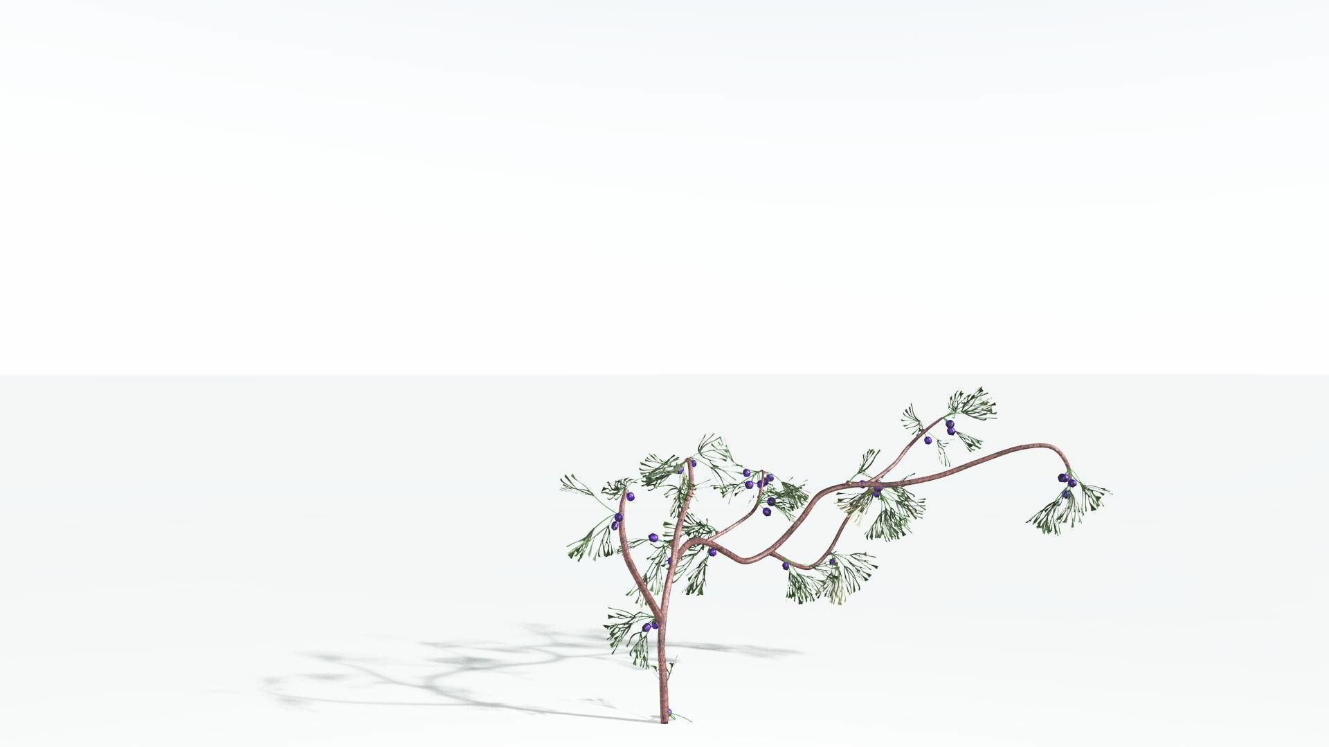 EVERYPlant Baiera 3 --14 Models-- 3D model_21