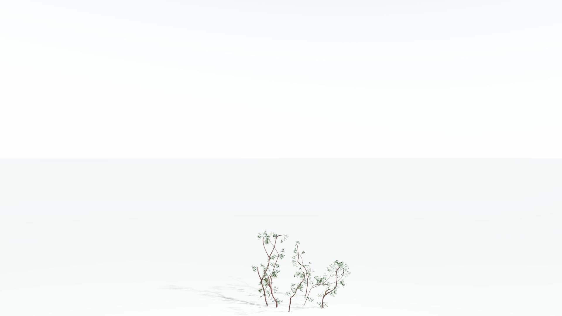 EVERYPlant Baiera 3 --14 Models-- 3D model_17