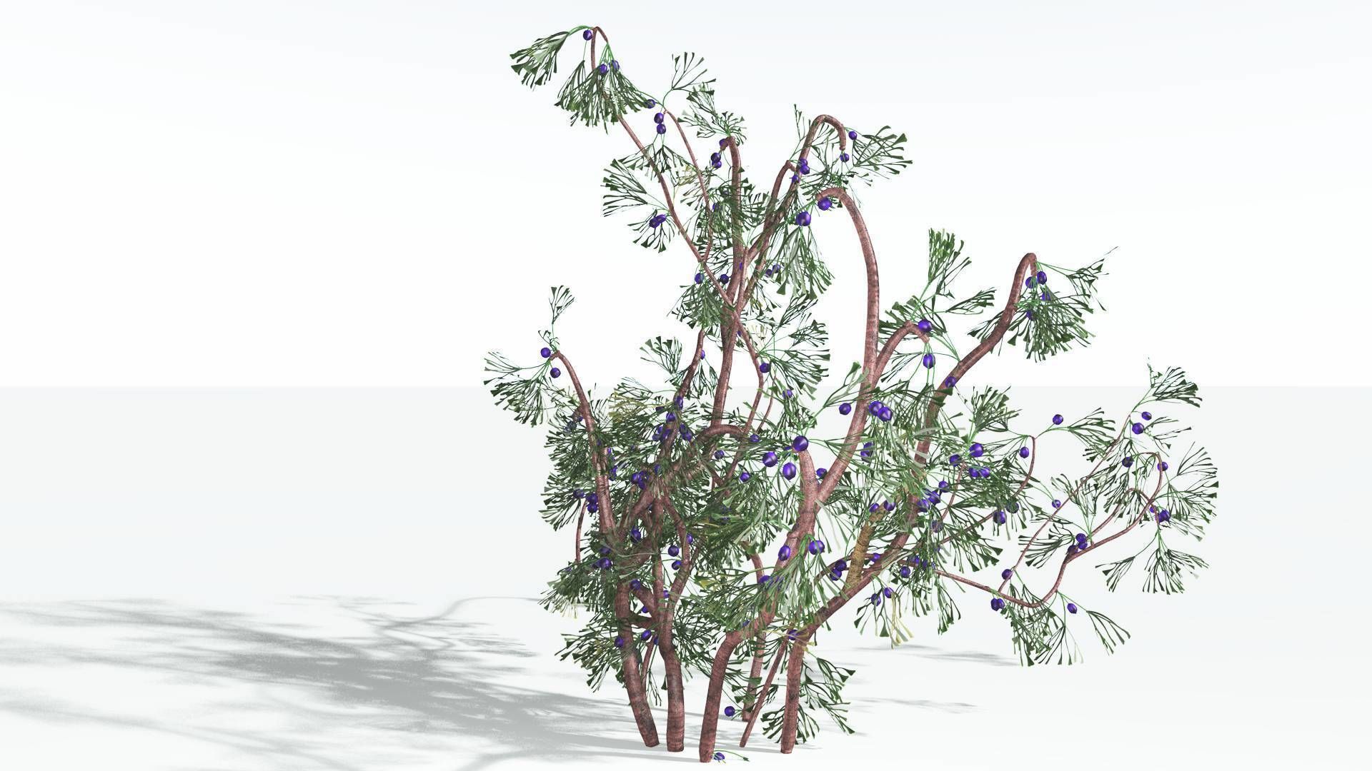 EVERYPlant Baiera 3 --14 Models-- 3D model_13