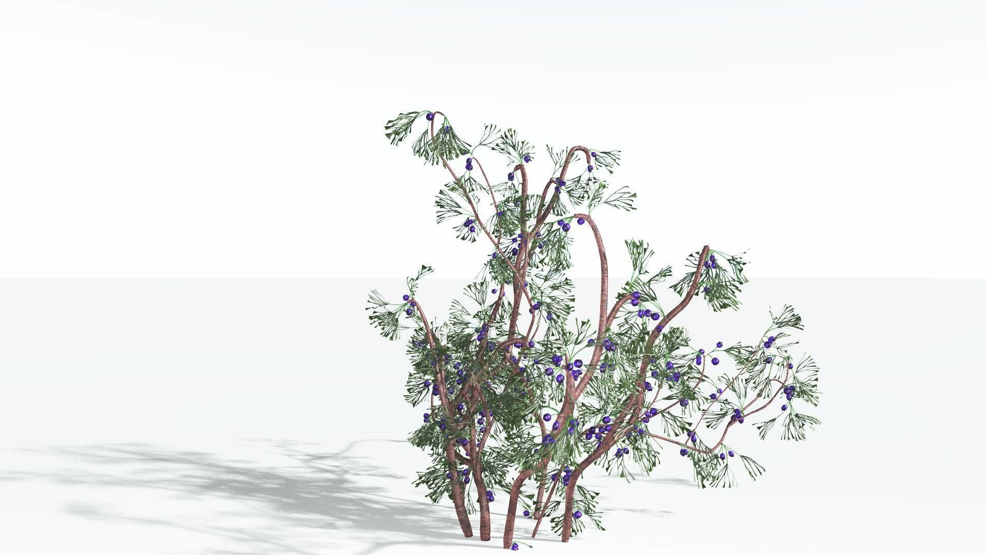 EVERYPlant Baiera 3 --14 Models-- 3D model_5