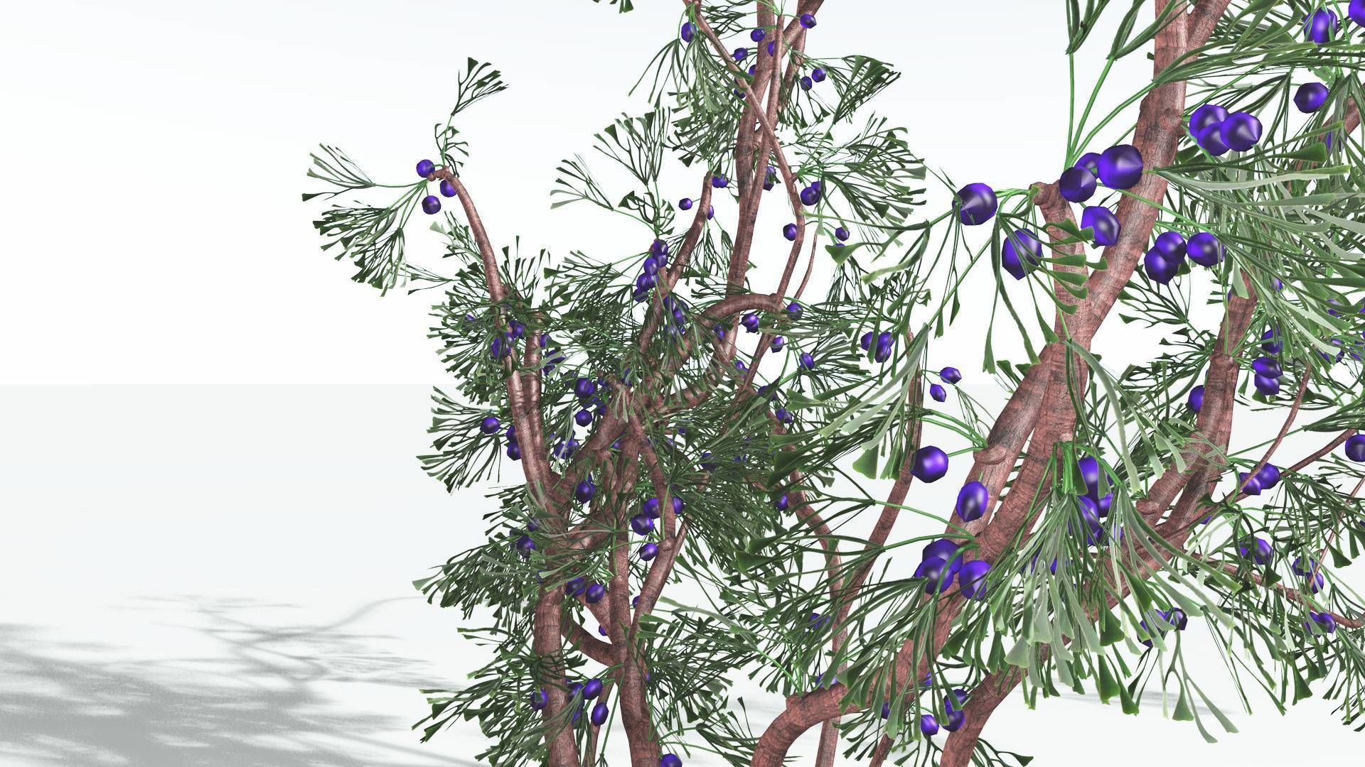 EVERYPlant Baiera 3 --14 Models-- 3D model_6