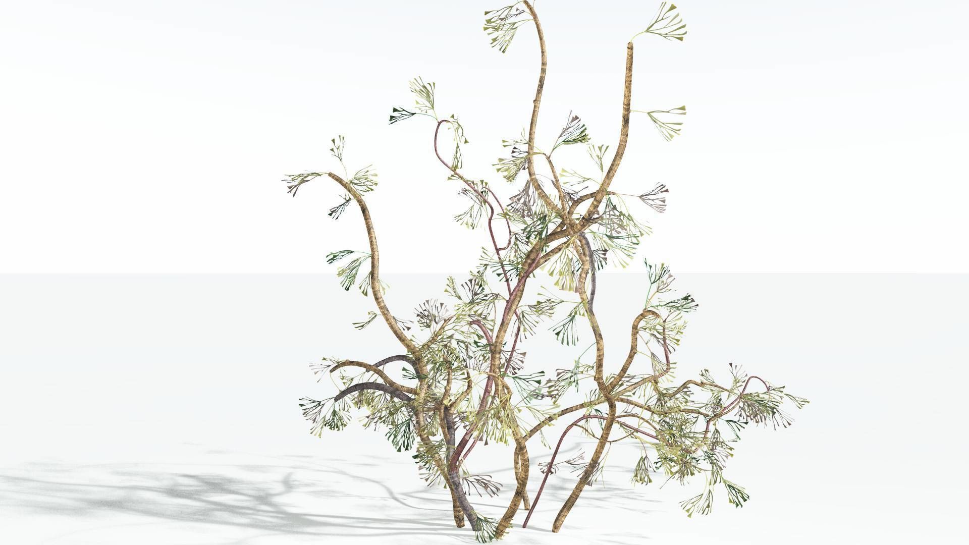 EVERYPlant Baiera 3 --14 Models-- 3D model_9