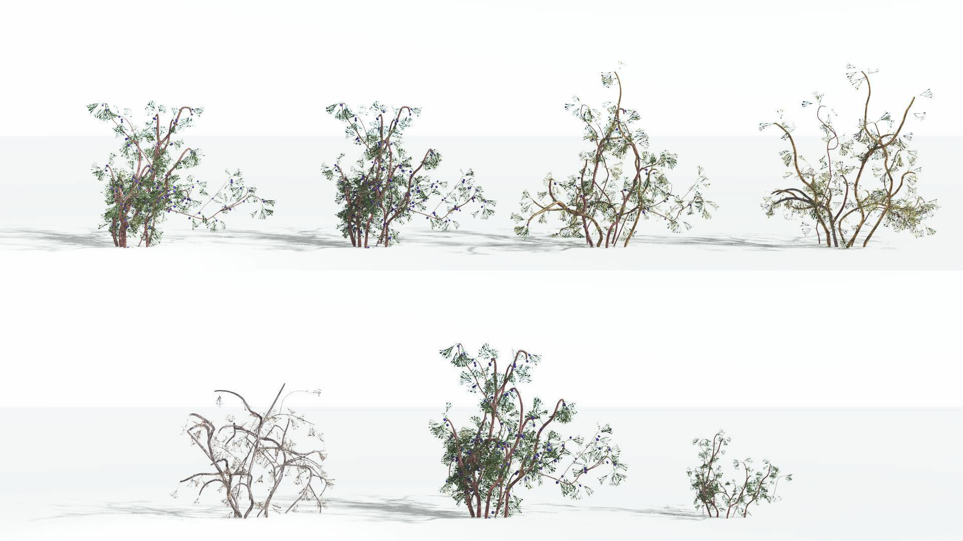 EVERYPlant Baiera 3 --14 Models-- 3D model_1