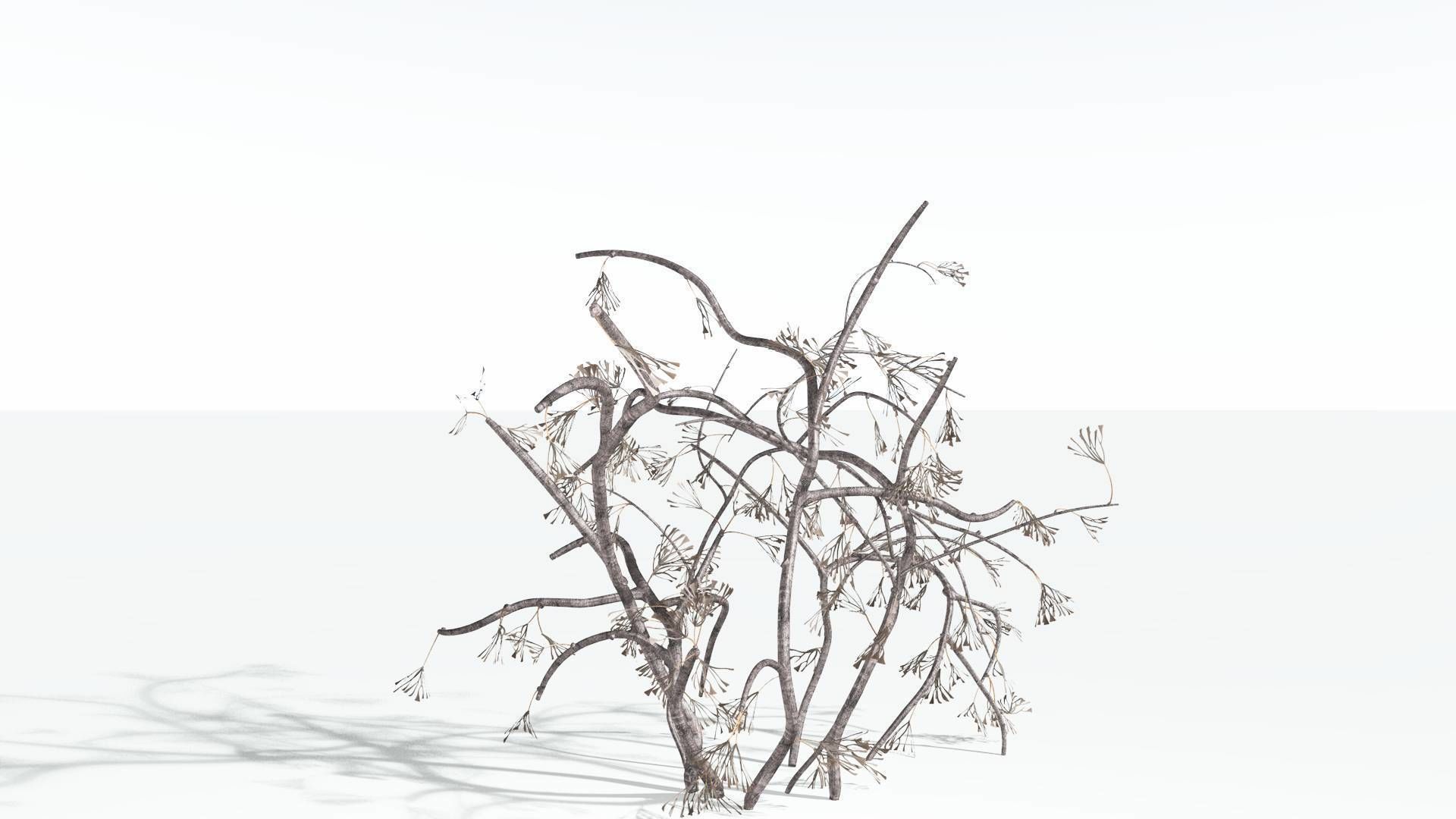 EVERYPlant Baiera 3 --14 Models-- 3D model_11