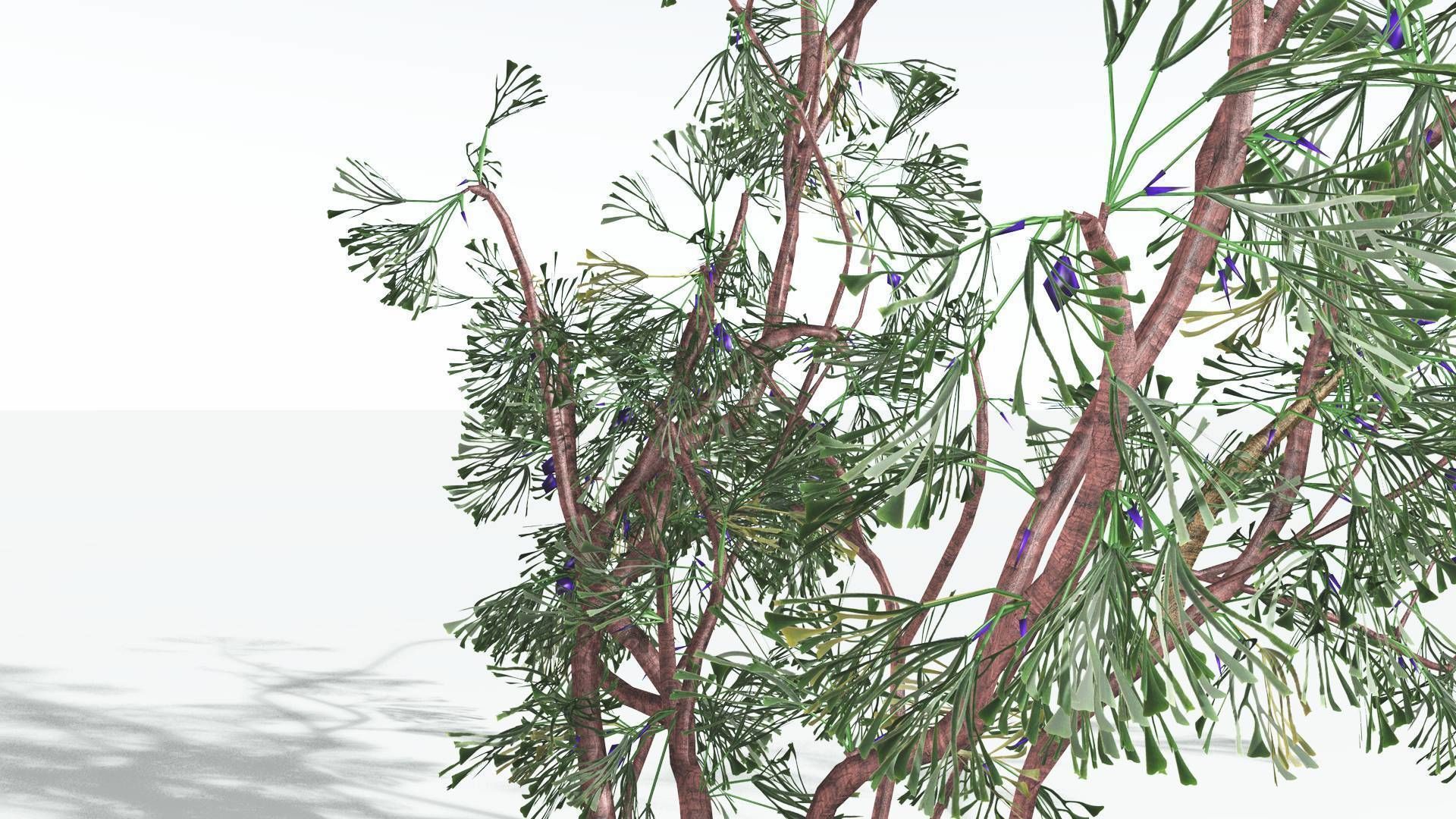 EVERYPlant Baiera 3 --14 Models-- 3D model_28