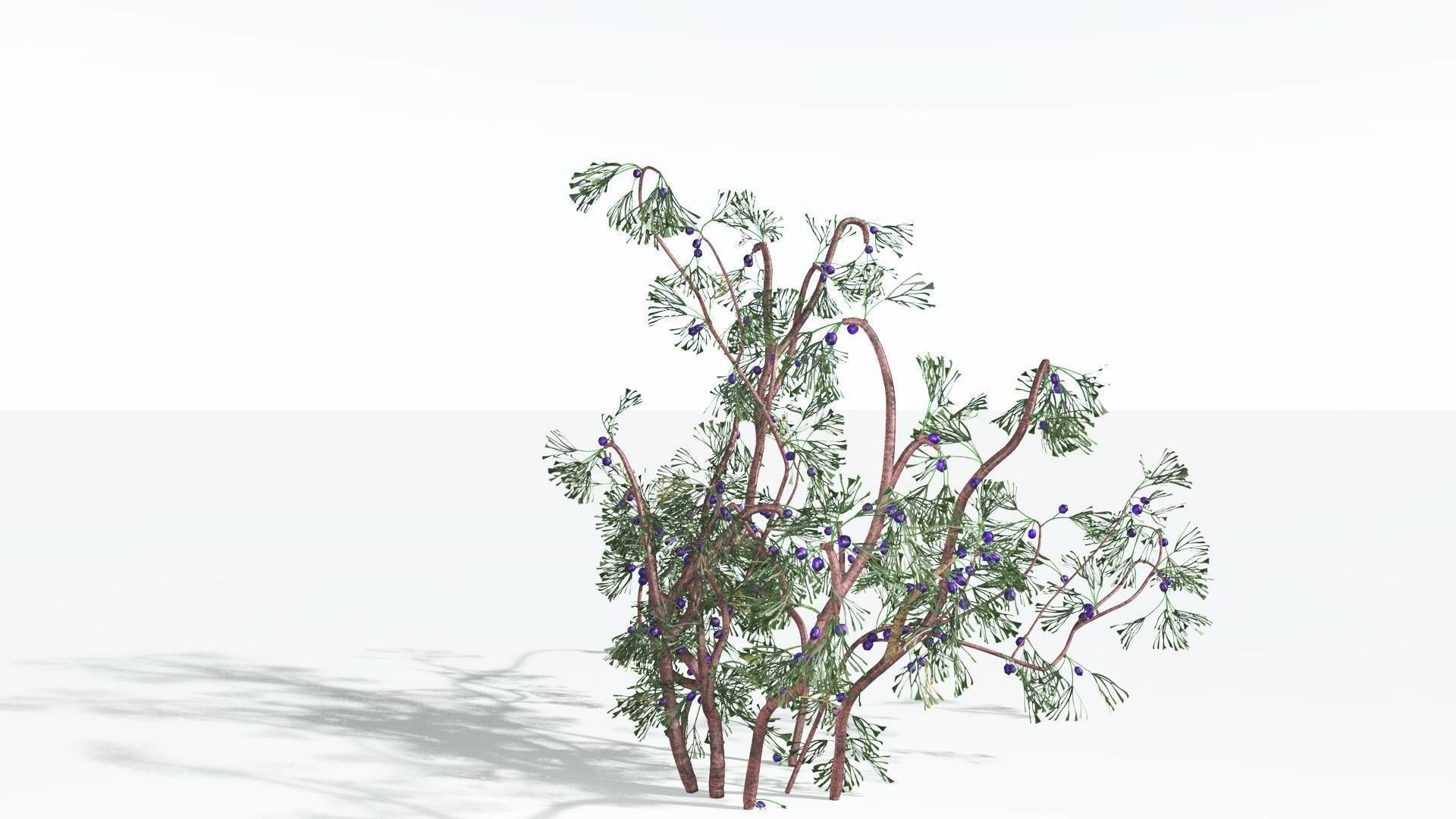 EVERYPlant Baiera 3 --14 Models-- 3D model_29