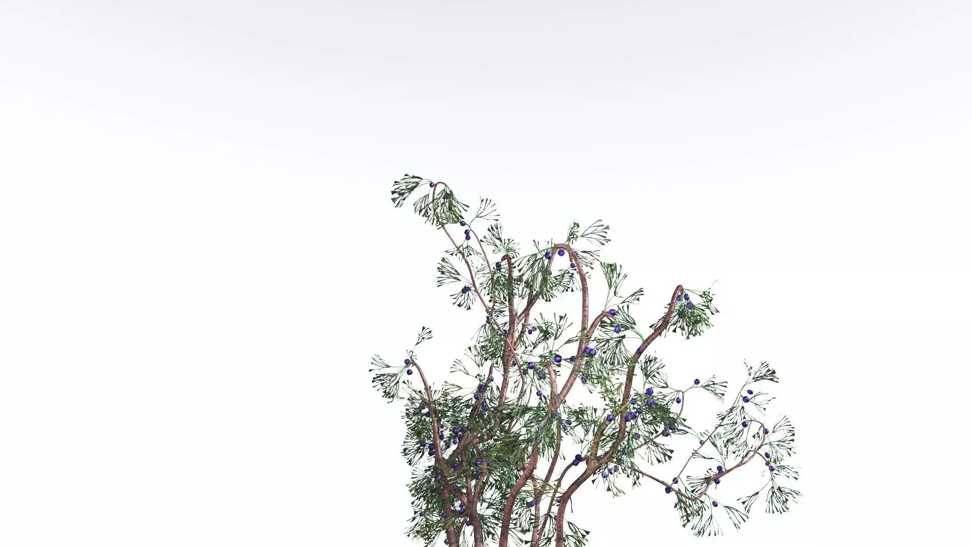 EVERYPlant Baiera 3 --14 Models-- 3D model_0