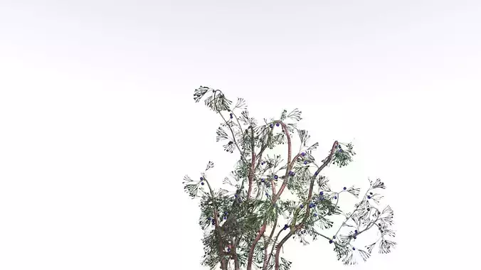 EVERYPlant Baiera 3 --14 Models-- 3D model