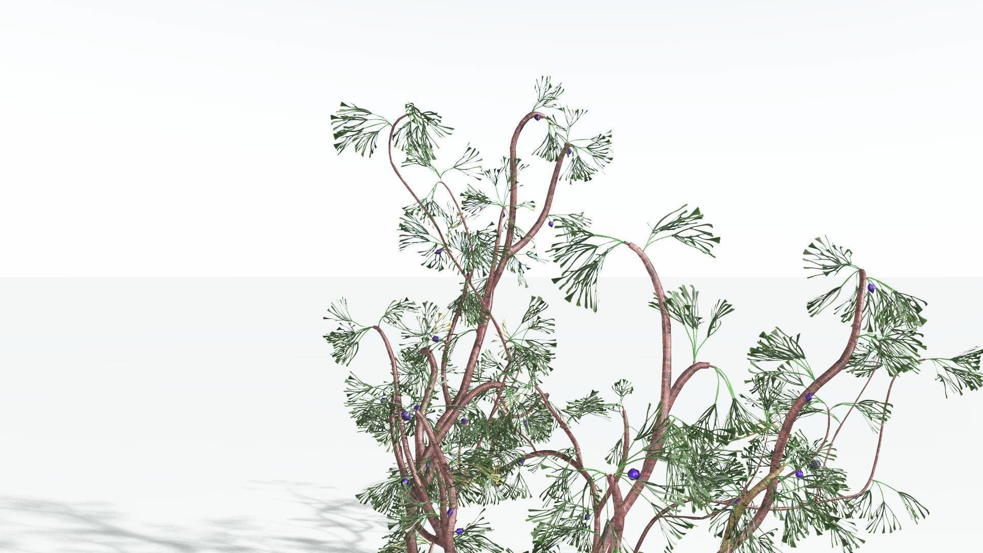 EVERYPlant Baiera 3 --14 Models-- 3D model_16
