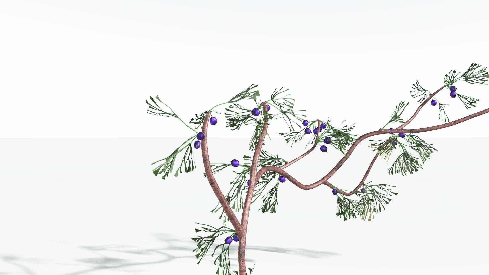 EVERYPlant Baiera 3 --14 Models-- 3D model_22